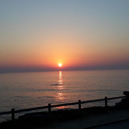Pequena Baleia Bed & Breakfast Ferrel  Dış mekan fotoğraf